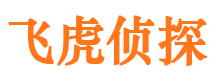 汉中小三调查